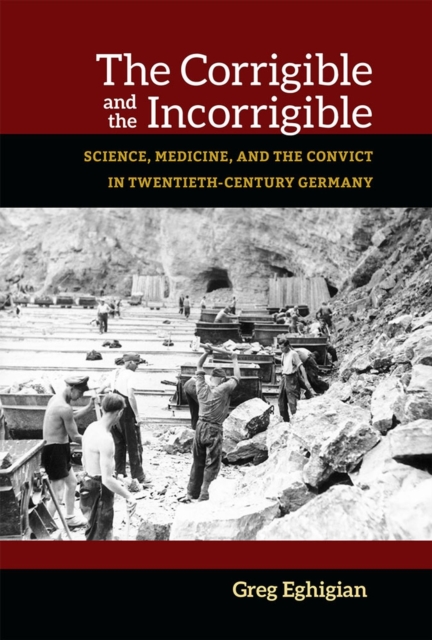 The Corrigible and the Incorrigible : Science, Medicine, and the Convict in Twentieth-Century Germany, Hardback Book
