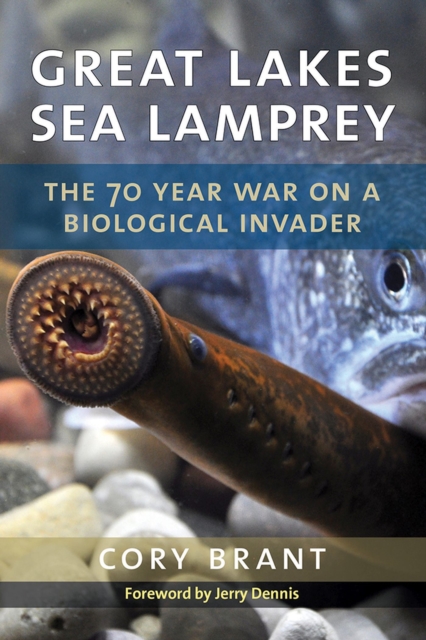 Great Lakes Sea Lamprey : The 70 Year War on a Biological Invader, Hardback Book