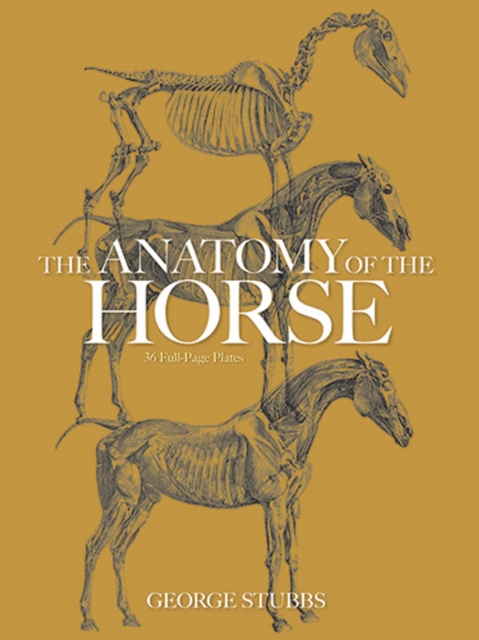 The Anatomy of the Horse, EPUB eBook
