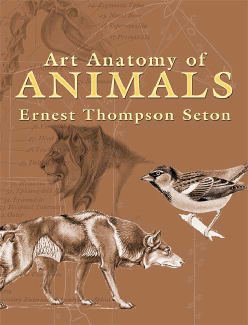 Art Anatomy of Animals, EPUB eBook