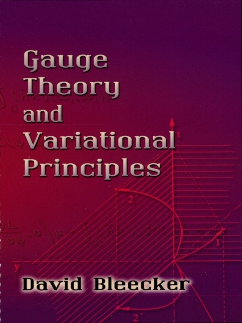 Gauge Theory and Variational Principles, EPUB eBook