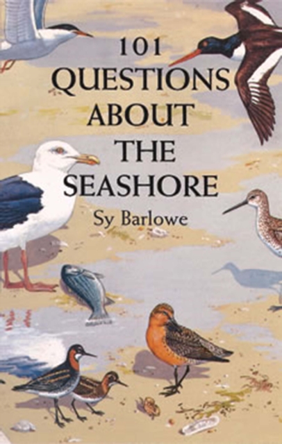 101 Questions About the Seashore, EPUB eBook