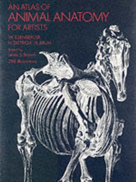 An Atlas of Animal Anatomy for Artists, Paperback / softback Book