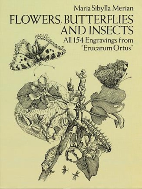 Flowers, Butterflies and Insects, Paperback / softback Book