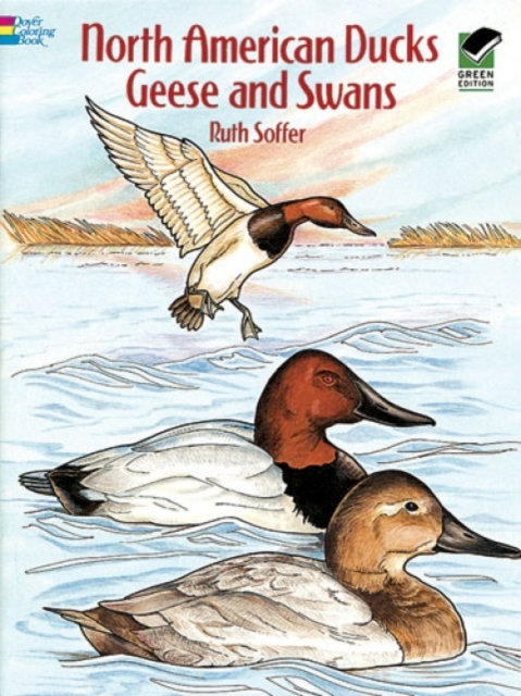 North American Ducks, Geese and Swans, Paperback / softback Book