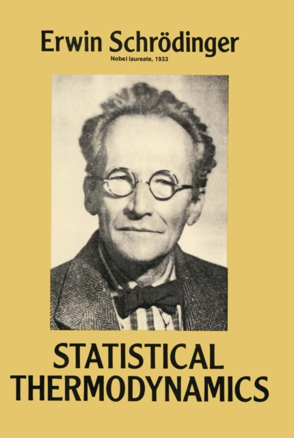Statistical Thermodynamics, EPUB eBook