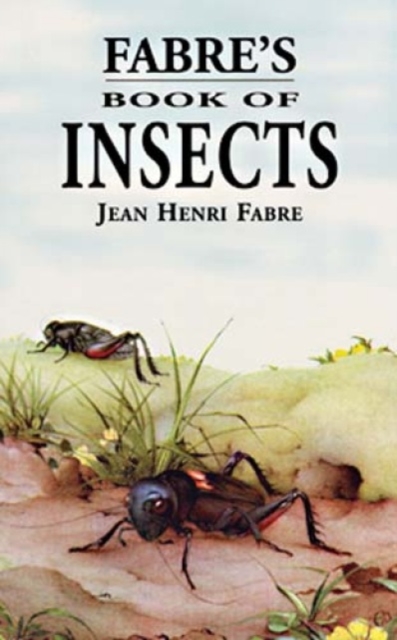 Fabre'S Book of Insects, Paperback / softback Book