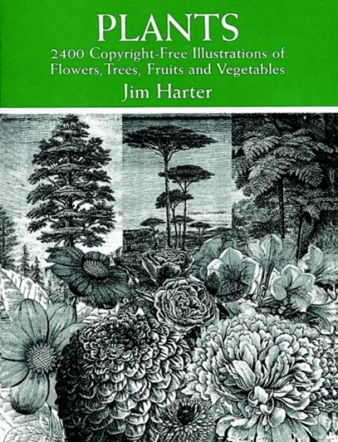 Plants : 2400 Designs, Paperback / softback Book