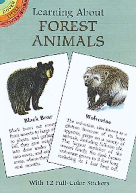 Learning About Forest Animals, Paperback / softback Book
