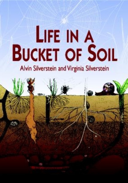 Life in a Bucket of Soil, Paperback / softback Book