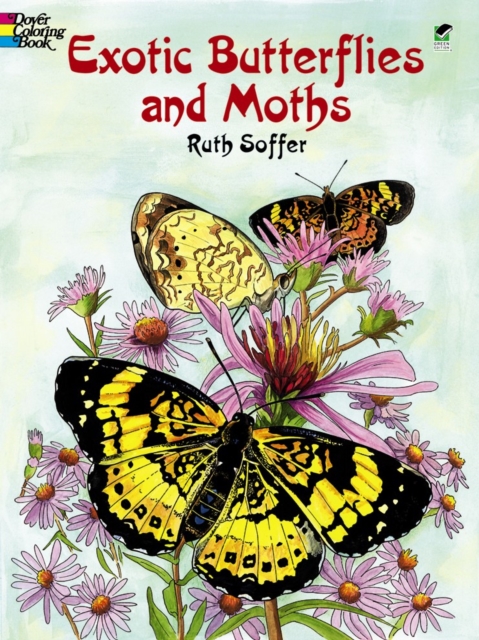 Exotic Butterflies and Moths Cb, Paperback / softback Book