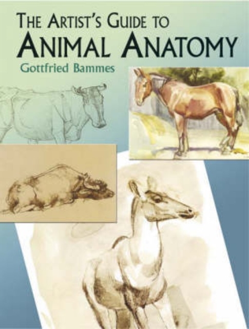 The Artist's Guide to Animal Anatomy, Paperback / softback Book