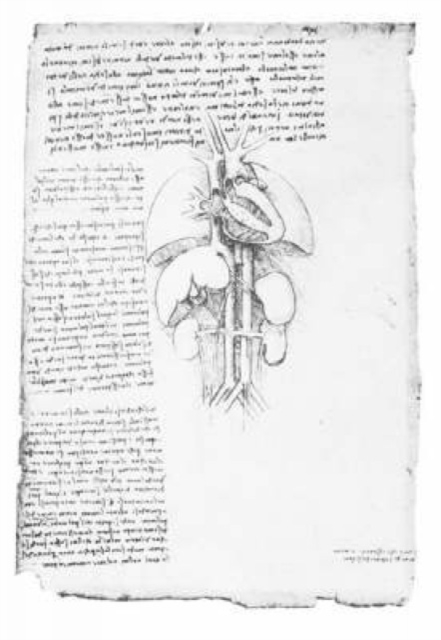 Leonardo'S Anatomical Drawings, Paperback / softback Book