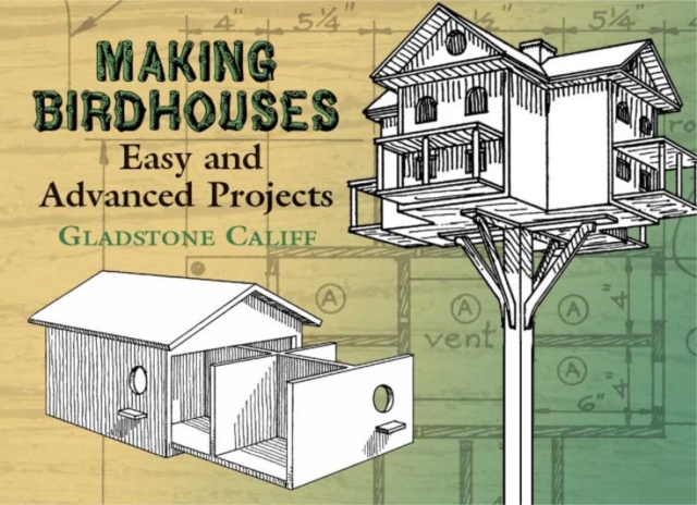 Making Birdhouses : Easy and Advanced Projects, Paperback / softback Book