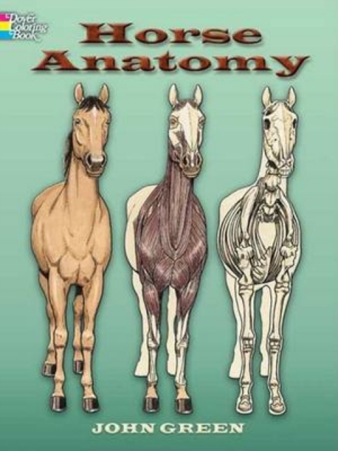 Horse Anatomy Coloring Book, Other merchandise Book