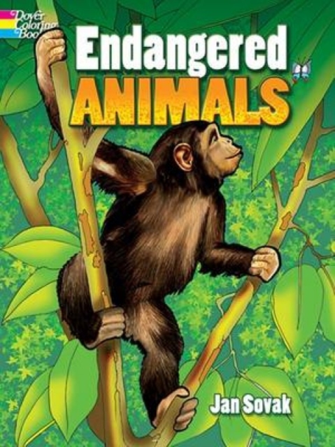 Endangered Animals, Paperback / softback Book