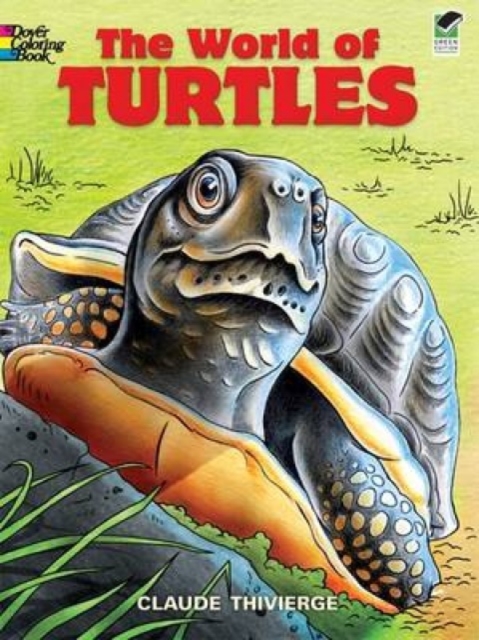 World of Turtles, Paperback / softback Book