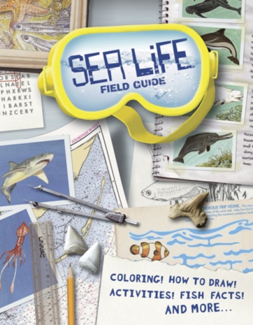 Sea Life Field Guide, Paperback / softback Book