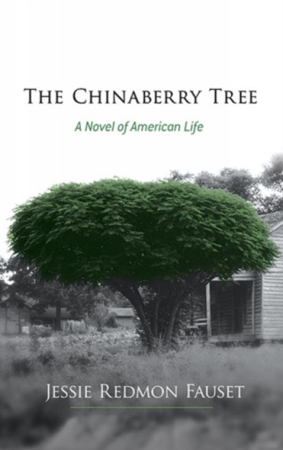 The Chinaberry Tree : A Novel of American Life, Paperback / softback Book