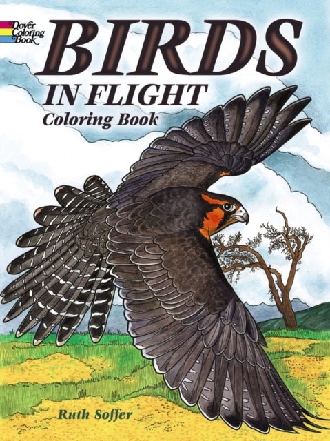 Birds in Flight Coloring Book, Paperback / softback Book
