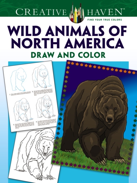 Creative Haven Wild Animals of North America Draw and Color, Paperback / softback Book