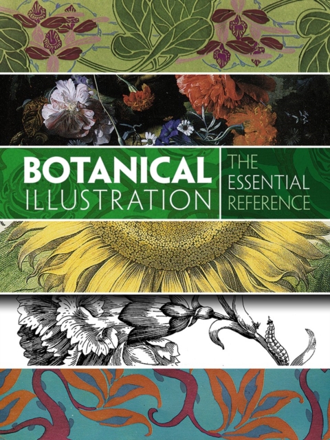 Botanical Illustration: the Essential Reference, Paperback / softback Book