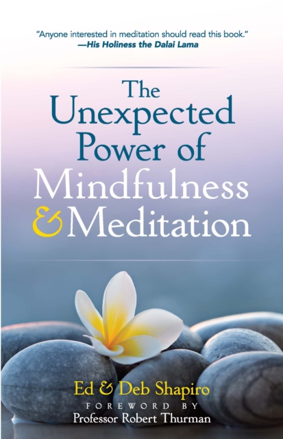 The Unexpected Power of Mindfulness and Meditation, EPUB eBook
