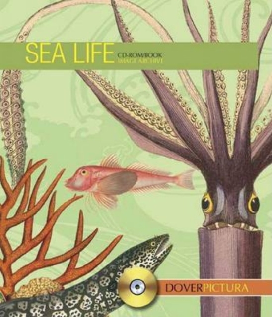 Sea Life, Mixed media product Book