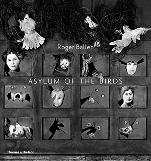 Asylum of the Birds, Paperback / softback Book