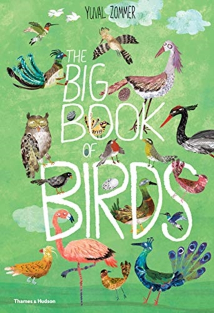 The Big Book of Birds, Hardback Book