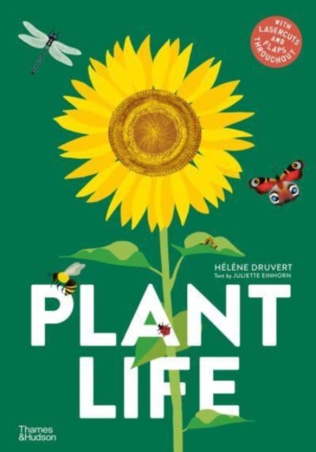 Plant Life, Hardback Book