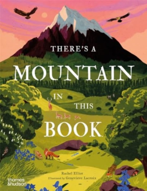 There's a Mountain in This Book, Hardback Book