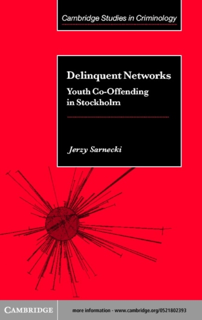 Delinquent Networks : Youth Co-Offending in Stockholm, PDF eBook