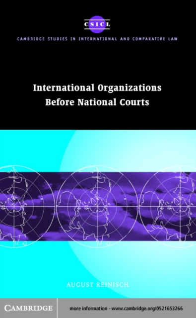 International Organizations before National Courts, PDF eBook