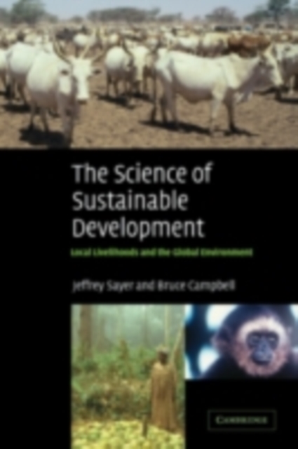 Science of Sustainable Development : Local Livelihoods and the Global Environment, PDF eBook