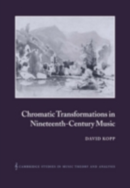 Chromatic Transformations in Nineteenth-Century Music, PDF eBook