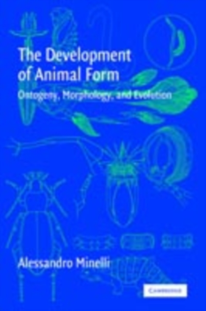 The Development of Animal Form : Ontogeny, Morphology, and Evolution, PDF eBook