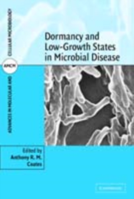 Dormancy and Low Growth States in Microbial Disease, PDF eBook