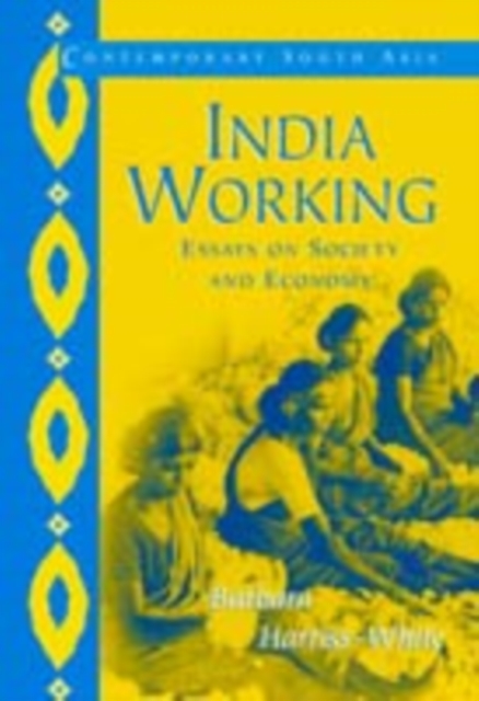 India Working : Essays on Society and Economy, PDF eBook