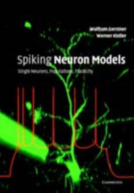 Spiking Neuron Models : Single Neurons, Populations, Plasticity, PDF eBook