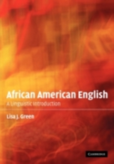 African American English : A Linguistic Introduction, PDF eBook