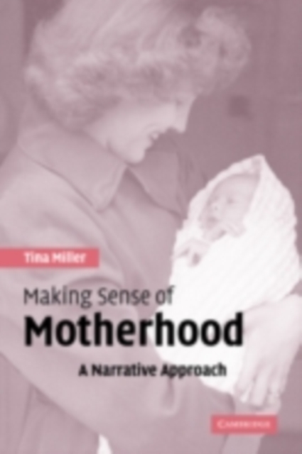 Making Sense of Motherhood : A Narrative Approach, PDF eBook