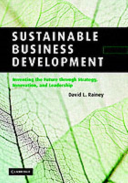 Sustainable Business Development : Inventing the Future Through Strategy, Innovation, and Leadership, PDF eBook