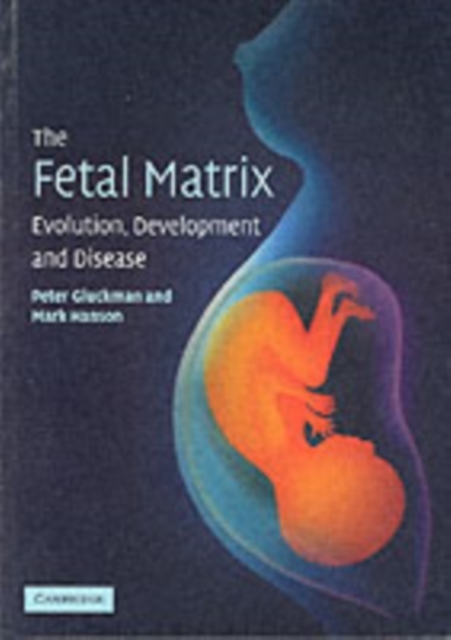 Fetal Matrix: Evolution, Development and Disease, PDF eBook