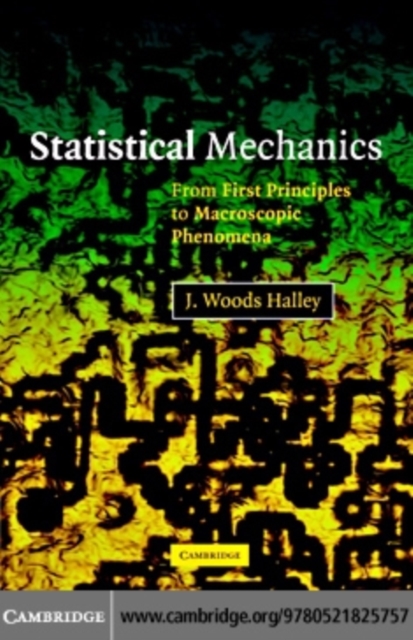 Statistical Mechanics : From First Principles to Macroscopic Phenomena, PDF eBook