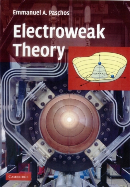 Electroweak Theory, PDF eBook