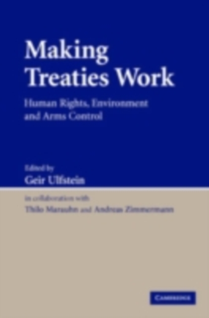 Making Treaties Work : Human Rights, Environment and Arms Control, PDF eBook