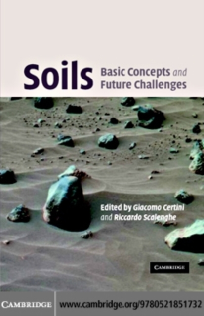 Soils: Basic Concepts and Future Challenges, PDF eBook