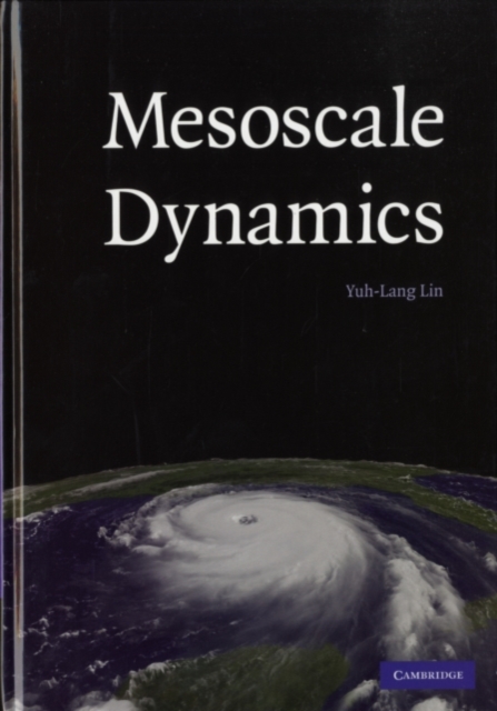Mesoscale Dynamics, PDF eBook