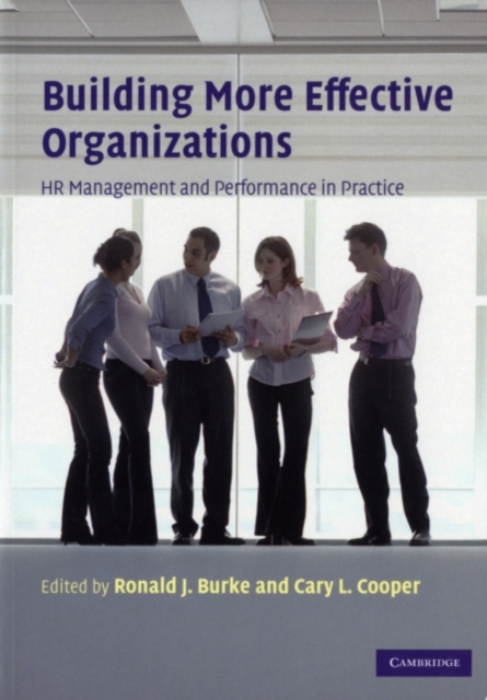 Building More Effective Organizations : HR Management and Performance in Practice, PDF eBook